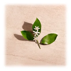 Bottega Veneta - Illusion For Her - Eau de Parfum - Italy - Beauty - Fragrances - Luxury - 30 ml - Avvenice