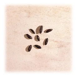 Bottega Veneta - Illusion For Her - Eau de Parfum - Italy - Beauty - Fragrances - Luxury - 30 ml - Avvenice