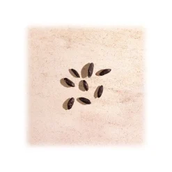 Bottega Veneta - Illusion For Him - Eau de Toilette - Italy - Beauty - Fragrances - Luxury - 90 ml - Avvenice