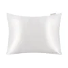 by Dariia Day - Pure Silk Pillow - Powder White - Fashion - Mulberry Silk - Artisan Silk Pillow - Luxury - Avvenice