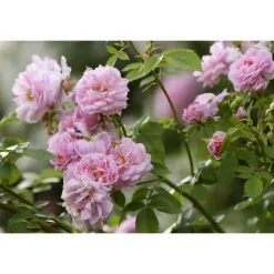 Byblos Art Hotel - Villa Amistà - Gourmet by Amistà 33 - 3 Days 2 Nights - Avvenice