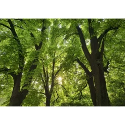 Byblos Art Hotel - Villa Amistà - Exclusive New Year - 2 Days 1 Night - Avvenice