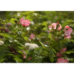 Byblos Art Hotel - Villa Amistà - Art Lovers - 3 Days 2 Nights - Avvenice