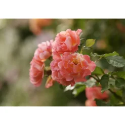 Byblos Art Hotel - Villa Amistà - Art Lovers - 3 Days 2 Nights - Avvenice