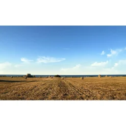 Cala Ponte Resort & Spa - Calaponte Marina - 4 Days 3 Nights - Avvenice