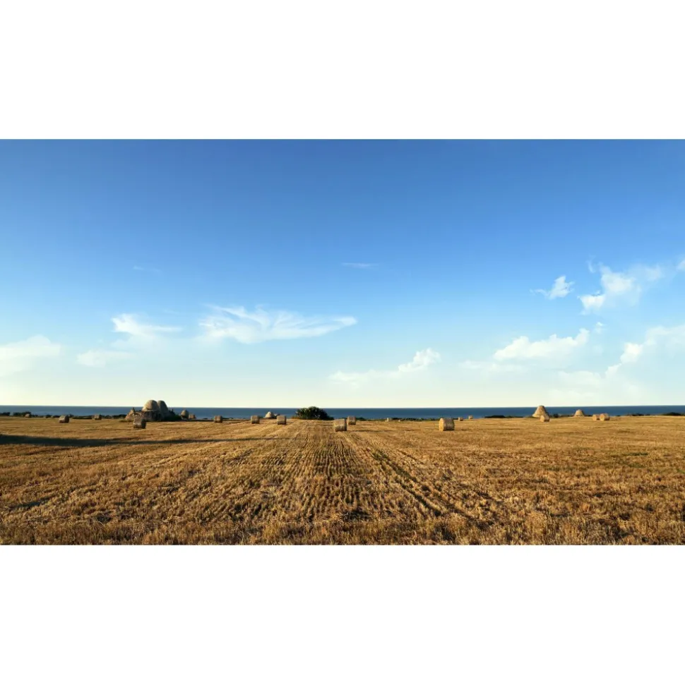 Cala Ponte Resort & Spa - Calaponte Marina - 5 Days 4 Nights - Avvenice