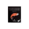 Calvisius - Norgevian Salmon Sliced - Selected Salmon Fillet - Smoked and Specialties - 6 x 100 g - Avvenice