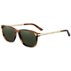 Cartier - Classic - Acetate Turtle Brown Gold Green - Santos de Cartier - Sunglasses - Cartier Eyewear - Avvenice