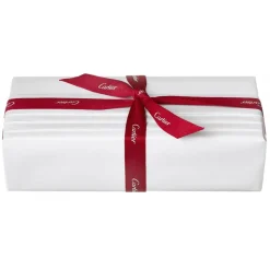 Cartier - Pasha de Cartier Édition Noire Sport Eau de Toilette - Luxury Fragrances - 100 ml - Avvenice