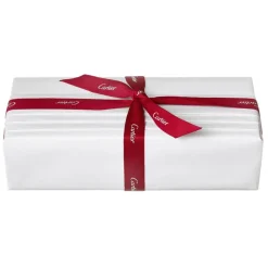 Cartier - Pasha de Cartier Fragrance - Luxury Fragrances - 100 ml - Avvenice