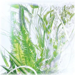 Cartier - Rivières de Cartier Luxuriance 200 ml Refill - Luxury Fragrances - 200 ml - Avvenice