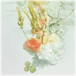 Cartier - Rivières de Cartier Allégresse 200 ml Refill - Luxury Fragrances - 200 ml - Avvenice