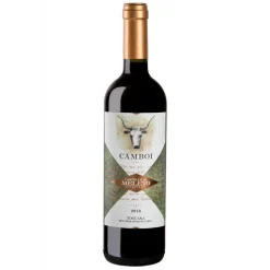 Castello di Meleto - Camboi Red Tuscany I.G.T. - Avvenice