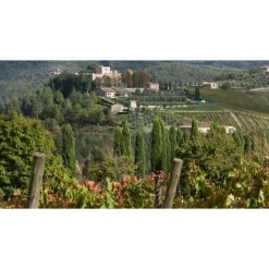 Castello di Meleto - Castle Storytelling - History - Art - Wine - 3 Days 2 Nights - Avvenice