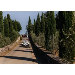 Castello di Meleto - Castle Storytelling - History - Art - Wine - 5 Days 4 Nights - Avvenice