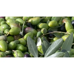 Castello di Meleto - Feeling The Silence of Wine and Relaxation - History - Art - 4 Days 3 Nights - Avvenice