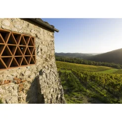 Castello di Meleto - Feeling The Silence of Wine and Relaxation - History - Art - 5 Days 4 Nights - Avvenice