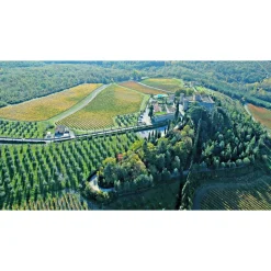 Castello di Meleto - Feeling The Silence of Wine and Relaxation - History - Art - 5 Days 4 Nights - Avvenice