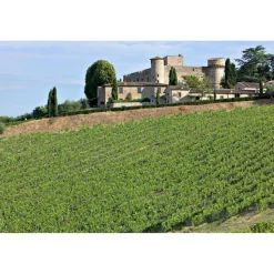 Castello di Meleto - Feeling The Silence of Wine and Relaxation - History - Art - 5 Days 4 Nights - Avvenice