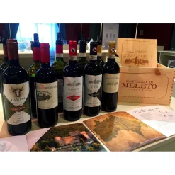 Castello di Meleto - Feeling The Silence of Wine and Relaxation - History - Art - 5 Days 4 Nights - Avvenice