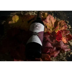 Castello di Meleto - Feeling The Silence of Wine and Relaxation - History - Art - 5 Days 4 Nights - Avvenice