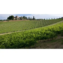 Castello di Meleto - Good Morning - History - Art - Wine - 2 Days 1 Night - Avvenice