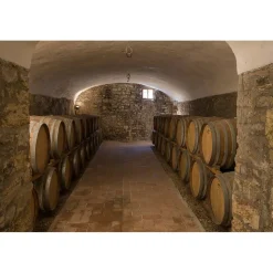 Castello di Meleto - Good Morning - History - Art - Wine - 2 Days 1 Night - Avvenice