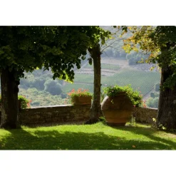 Castello di Meleto - Good Morning - History - Art - Wine - 4 Days 3 Nights - Avvenice