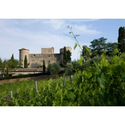 Castello di Meleto - Good Morning - History - Art - Wine - 4 Days 3 Nights - Avvenice