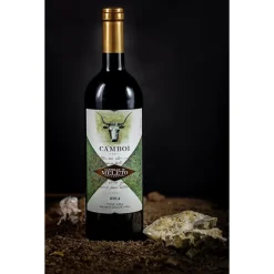 Castello di Meleto - Good Morning - History - Art - Wine - 4 Days 3 Nights - Avvenice