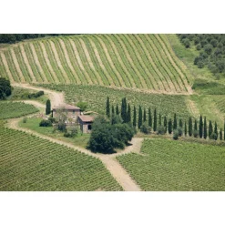 Castello di Meleto - Regenerate at The Castle - Beauty - Relax - History - Art - 6 Days 5 Nights - Avvenice