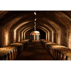 Castello di Spessa Golf & Wine Resort - Discovering Santarosa - 2 Days 1 Night - Avvenice