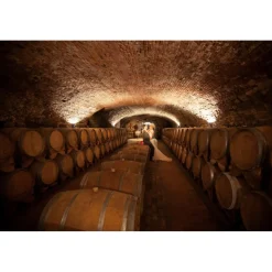 Castello di Spessa Golf & Wine Resort - Discovering Santarosa - 2 Days 1 Night - Avvenice