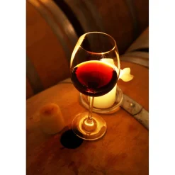 Castello di Spessa Golf & Wine Resort - Discovering Santarosa - 2 Days 1 Night - Avvenice