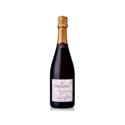 Champagne Apollonis - Théodorine Rosé Champagne - Pinot Meunier - Luxury Limited Edition - Avvenice