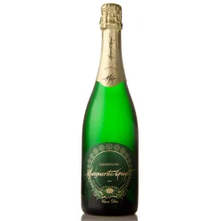 Champagne Marguerite Guyot - Cuvée Desir - Blanc de Noirs - Pinot Meunier - Luxury Limited Edition Champagne - 375 ml - Avvenice