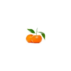 Cocosolis - Luxury Coffee Scrub Box - Luxurious Box with 4 Natural Organic Scrubs - Professional Cosmetics - Avvenice