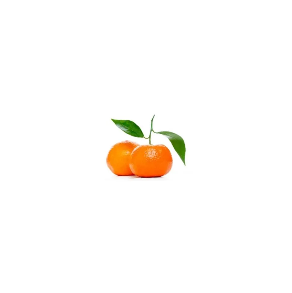 Cocosolis - Luxury Coffee Scrub Box - Luxurious Box with 4 Natural Organic Scrubs - Professional Cosmetics - Avvenice