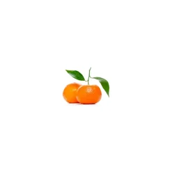 Cocosolis - Skin - Stretch Mark Dry Oil - Effective at Combating Stretch Marks - Organic - Professional Cosmetics - Avvenice