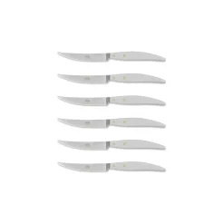 Coltellerie Berti - 1895 - Polychrome 6 Table Knives - N. 8062 - Exclusive Artisan Knives - Handmade in Italy - Avvenice