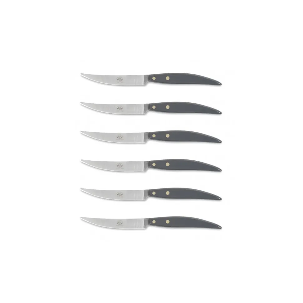 Coltellerie Berti - 1895 - Polychrome 6 Table Knives - N. 8064 - Exclusive Artisan Knives - Handmade in Italy - Avvenice