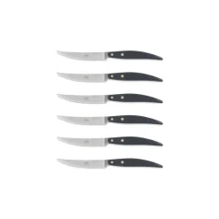 Coltellerie Berti - 1895 - Polychrome 6 Table Knives - N. 8065 - Exclusive Artisan Knives - Handmade in Italy - Avvenice