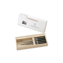 Coltellerie Berti - 1895 - Set of Four Kitchen Knives - N. 920 - Exclusive Artisan Knives - Handmade in Italy - Avvenice