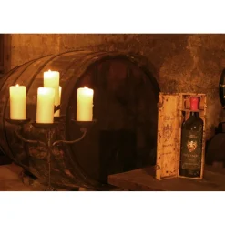 Conte Spagnoletti Zeuli - Tour Spagnoletti - Guided Tour of the XVIII Cellar, Olive Oil Plant, Vineyards and Olives - Daily - Avvenice