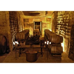 Conte Spagnoletti Zeuli - Tour Onofrio - Guided Tour of the XVIII Cellar, Olive Oil Plant, Vineyards and Olives - Daily - Avvenice