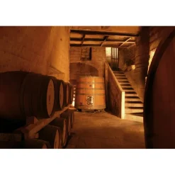 Conte Spagnoletti Zeuli - Tour Onofrio - Guided Tour of the XVIII Cellar, Olive Oil Plant, Vineyards and Olives - Daily - Avvenice