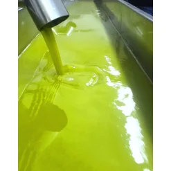 Conte Spagnoletti Zeuli - Tour Onofrio - Guided Tour of the XVIII Cellar, Olive Oil Plant, Vineyards and Olives - Daily - Avvenice