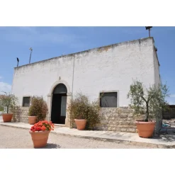 Conte Spagnoletti Zeuli - Tour Onofrio - Guided Tour of the XVIII Cellar, Olive Oil Plant, Vineyards and Olives - Daily - Avvenice