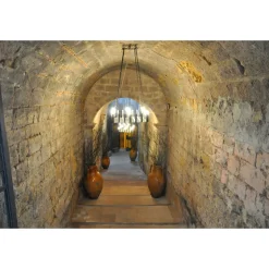 Conte Spagnoletti Zeuli - Tour Onofrio - Guided Tour of the XVIII Cellar, Olive Oil Plant, Vineyards and Olives - Daily - Avvenice