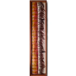 Corrado Novello - Aesthetic Research - Feathers 3 - Avvenice